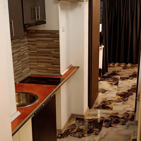 2 Cu Intrare Separata- Gara De Nord 