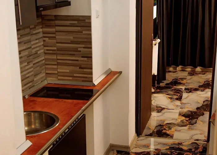 2 Cu Intrare Separata- Gara De Nord 