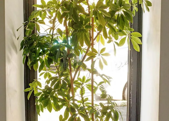 Apartment 2 Cu Intrare Separata- Gara De Nord 