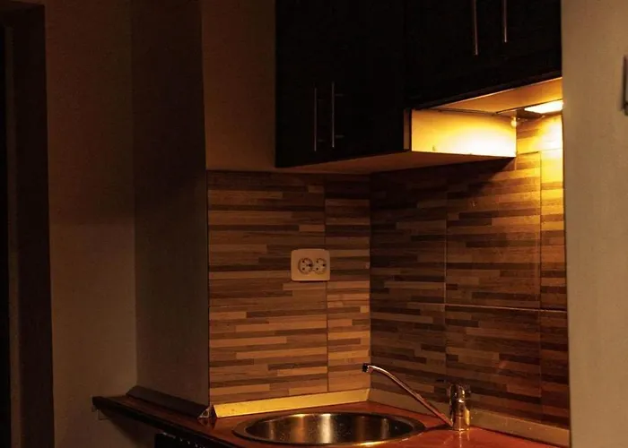 2 Cu Intrare Separata- Gara De Nord 